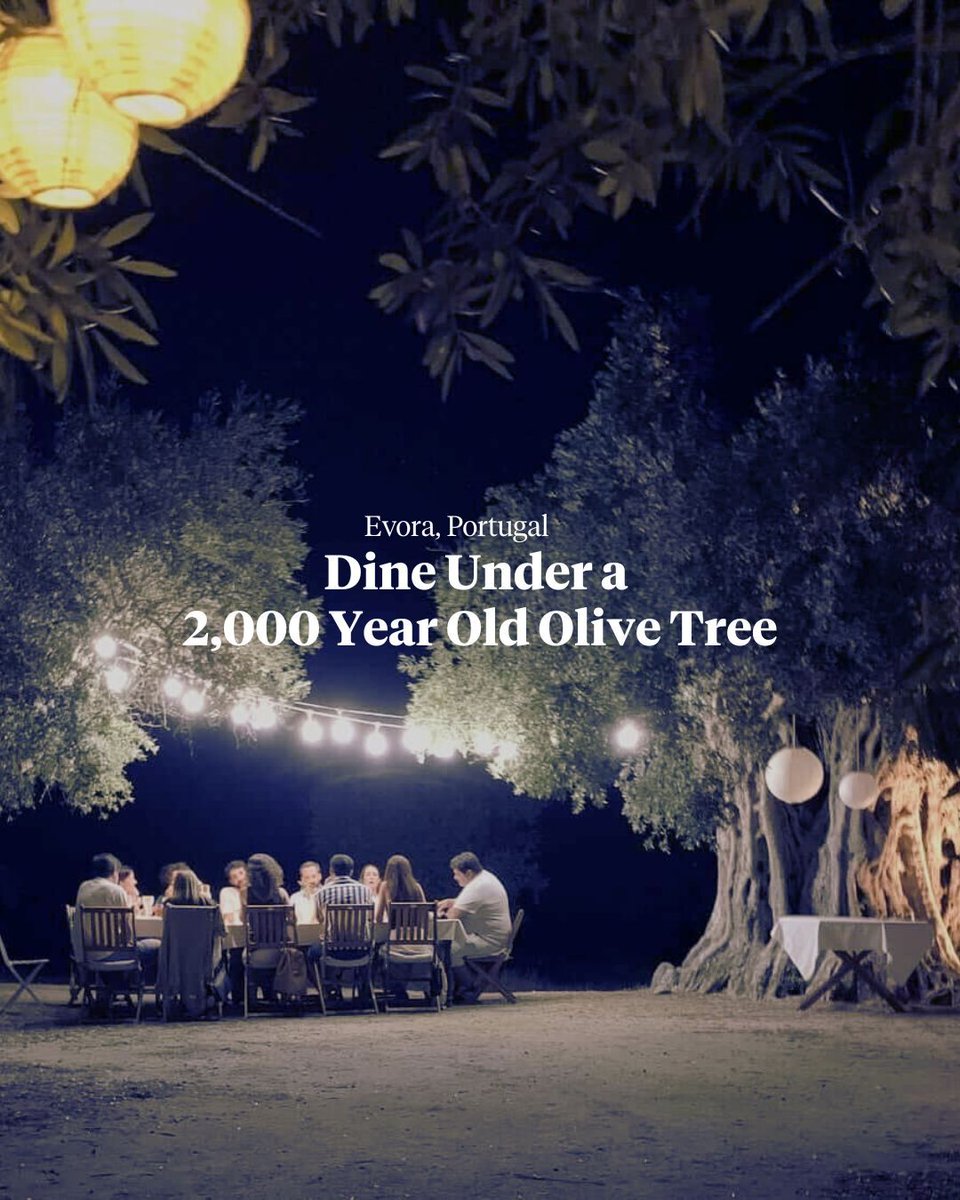 @wildlyvirgin tweet media