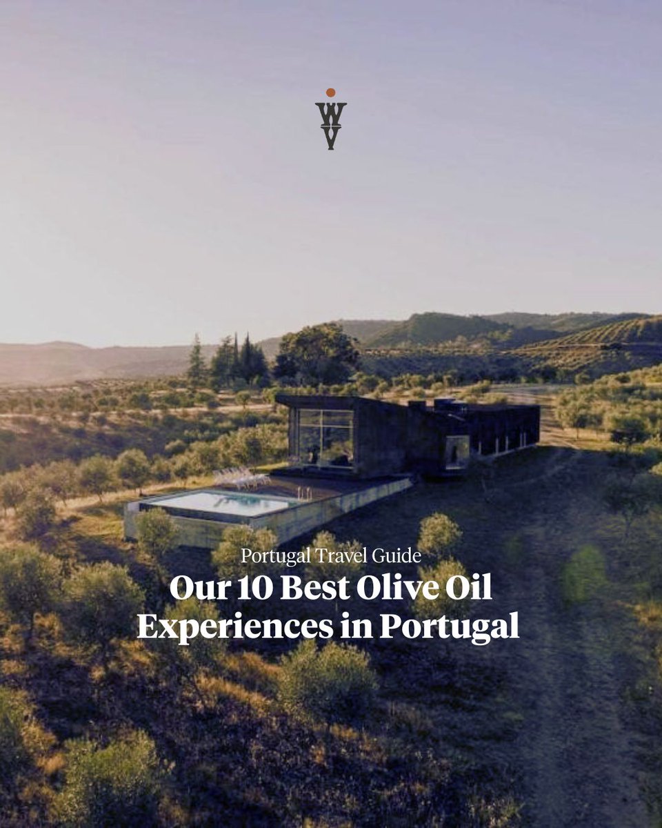 @wildlyvirgin tweet media