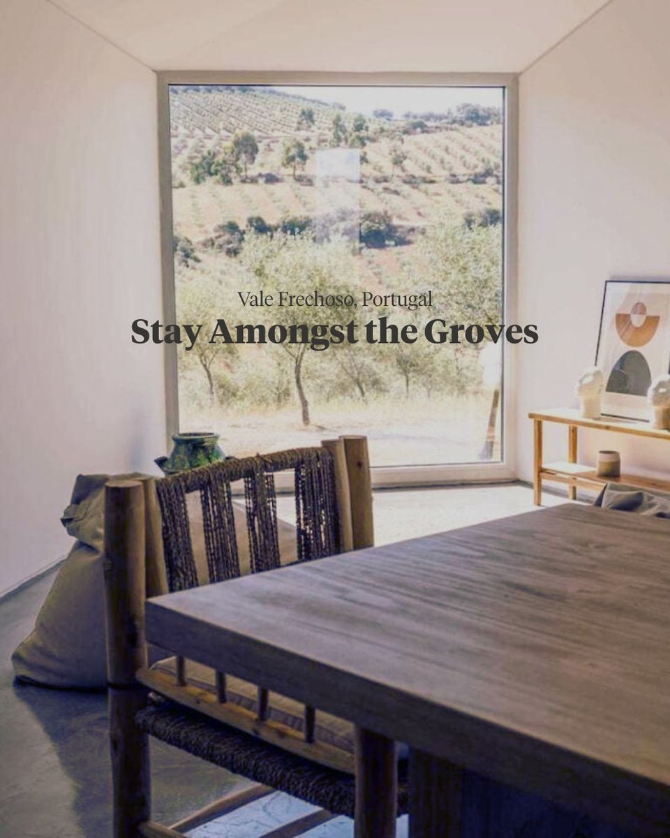 @wildlyvirgin tweet media