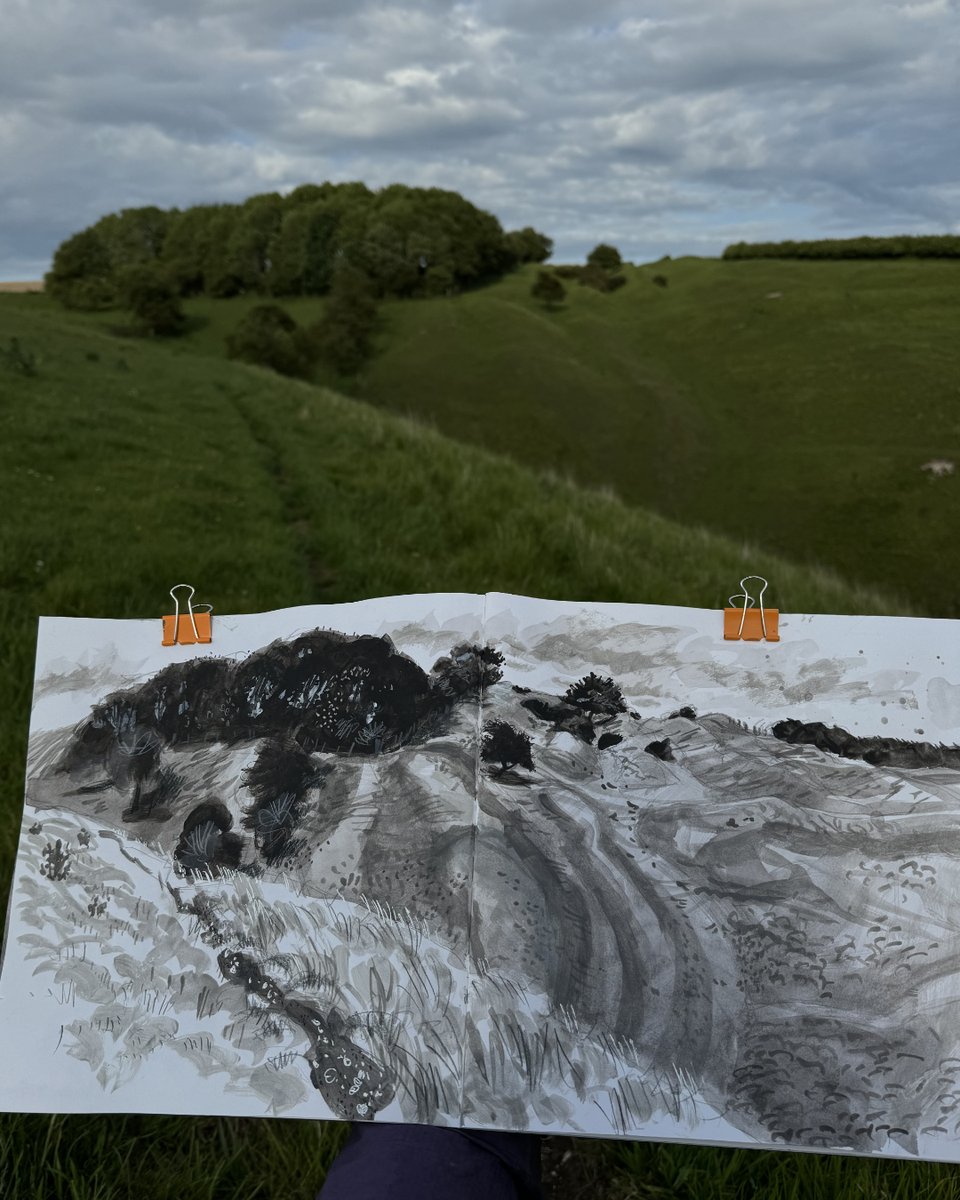 Lynne Roebuck tweet media