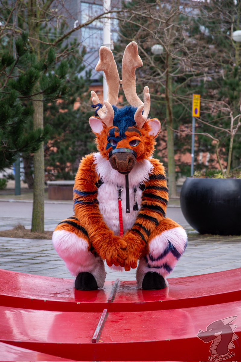 Happy Caribou day from this bou to you!~ 

📸:<a href="/razurac/">Razurac the Dragon / Vantaz the Sergal</a>