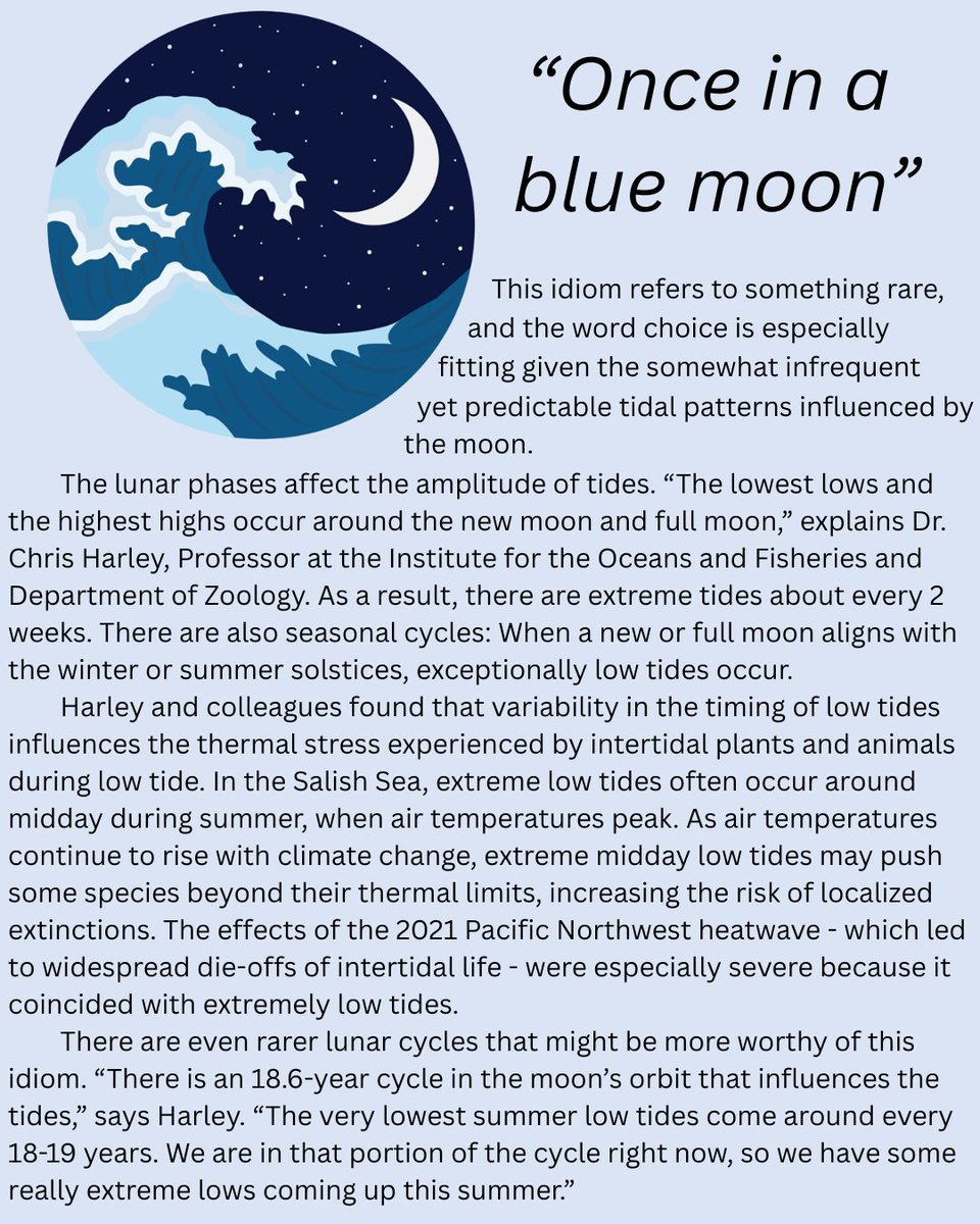 UBC Oceans (also found at ubcoceans.bsky.social) (@ubcoceans) on Twitter photo June 8 is #WorldOceansDay! Learn more about the state of our ocean from these fun and handy #OceanIdioms.
oceans.ubc.ca/ocean-idioms/
<a href="/SeaAroundUs/">Sea Around Us | Bluesky: @seaaroundus.org</a> <a href="/DrRashidSumaila/">Rashid Sumaila</a> <a href="/ZoologyUBC/">UBC Zoology</a> #GOLT #IUUfishing #illegalfishing #coastalecosystems #WorldOceanDay June 8 is #WorldOceansDay! Learn more about the state of our ocean from these fun and handy #OceanIdioms.
oceans.ubc.ca/ocean-idioms/
<a href="/SeaAroundUs/">Sea Around Us | Bluesky: @seaaroundus.org</a> <a href="/DrRashidSumaila/">Rashid Sumaila</a> <a href="/ZoologyUBC/">UBC Zoology</a> #GOLT #IUUfishing #illegalfishing #coastalecosystems #WorldOceanDay