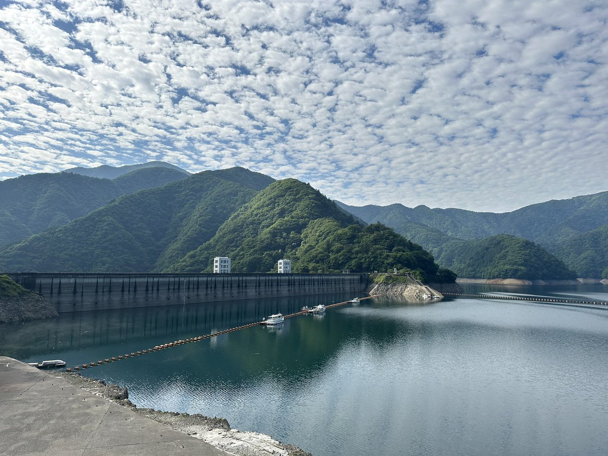 kariad_uu's tweet photo. もう暑い、夏だ https://t.co/vLDfXOgUIW