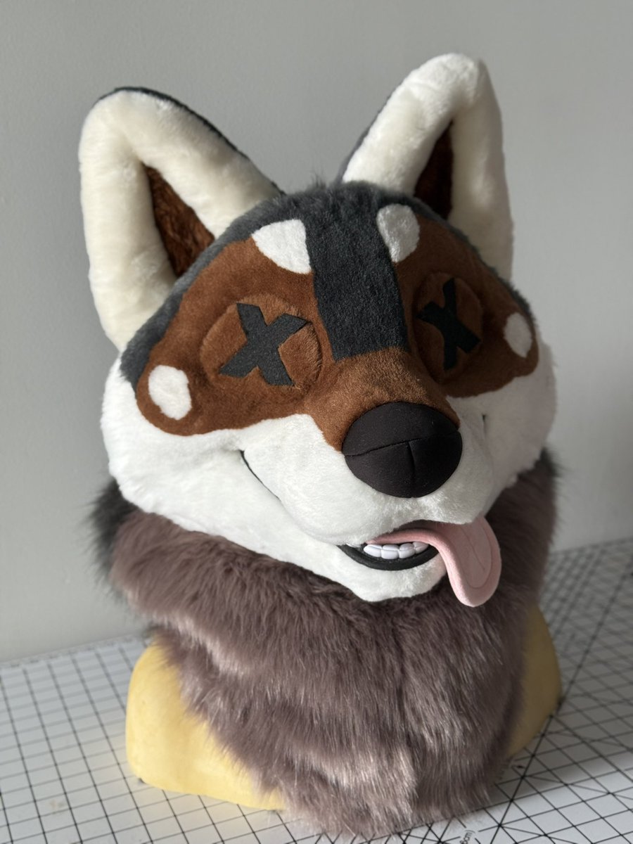 ThatsFurredUp's tweet image. A very expressive Shikoku Inu!