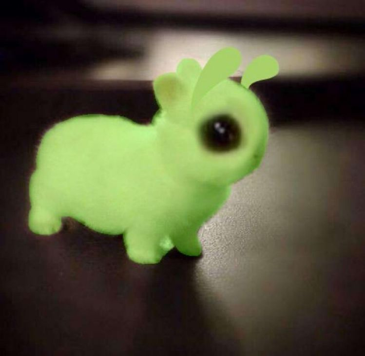 RabbitEveryHour's tweet image. 