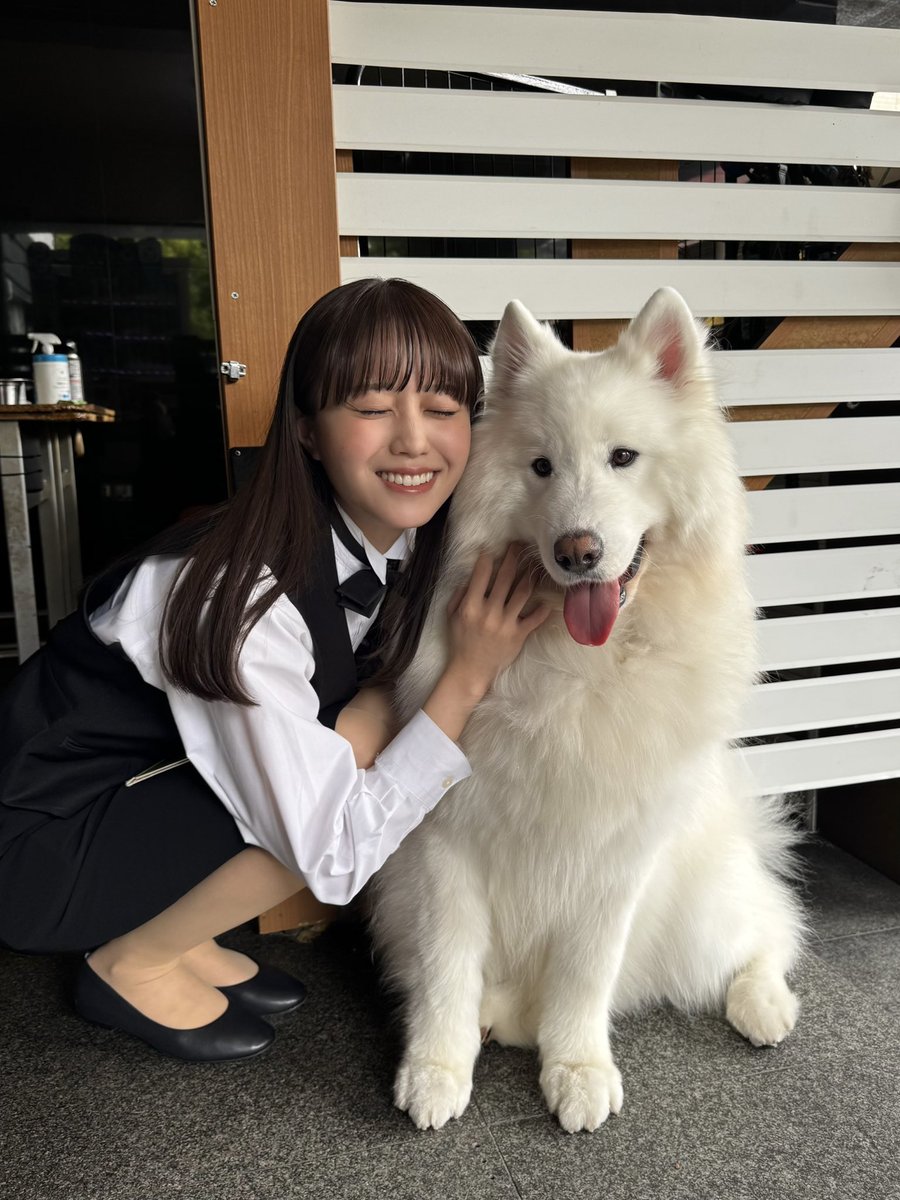 おはようございます！

このあと9:30〜
#王様のブランチ です🐶✨