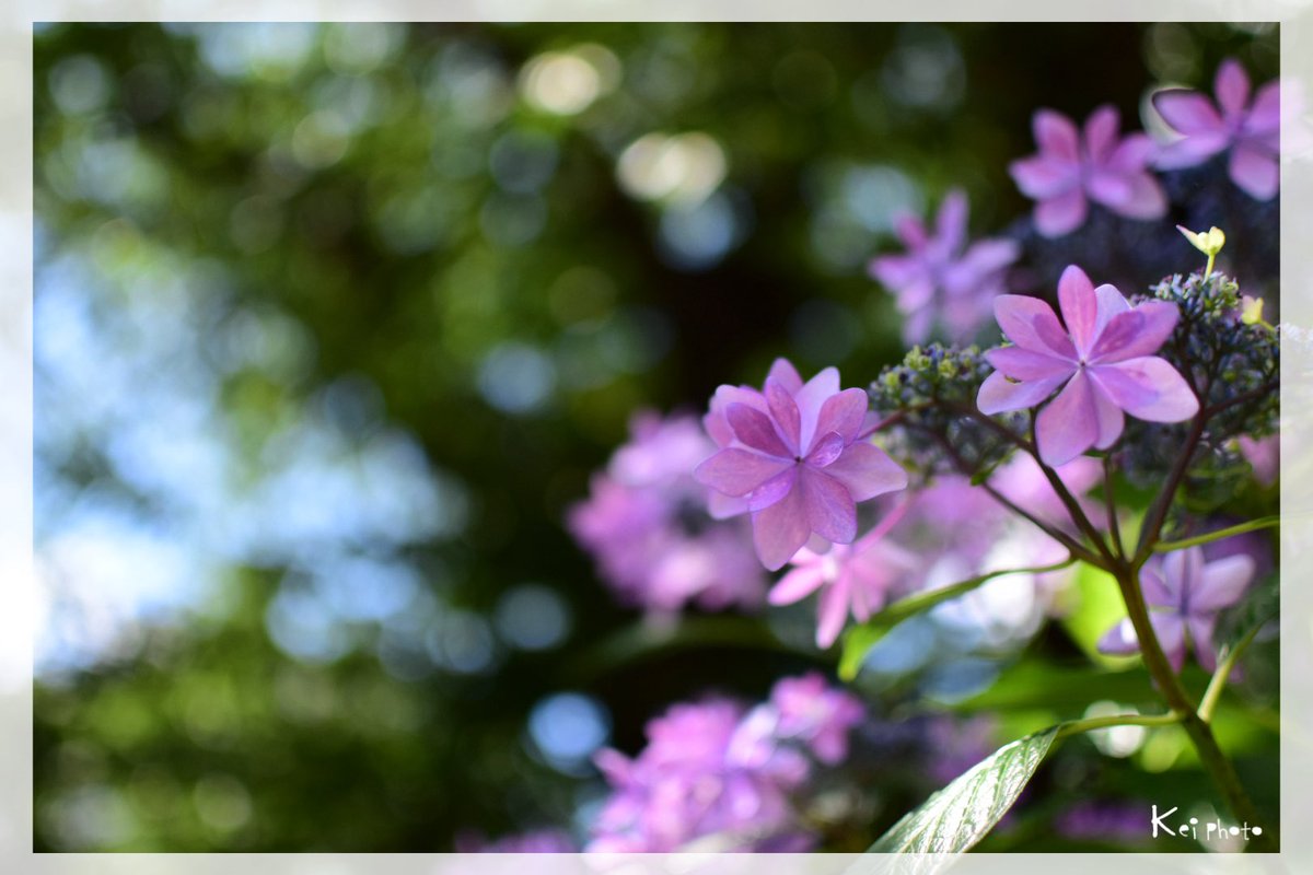 おはようございます☺︎
良き土曜日を!!

#キリトリセカイ
#ファインダー越しの私の世界