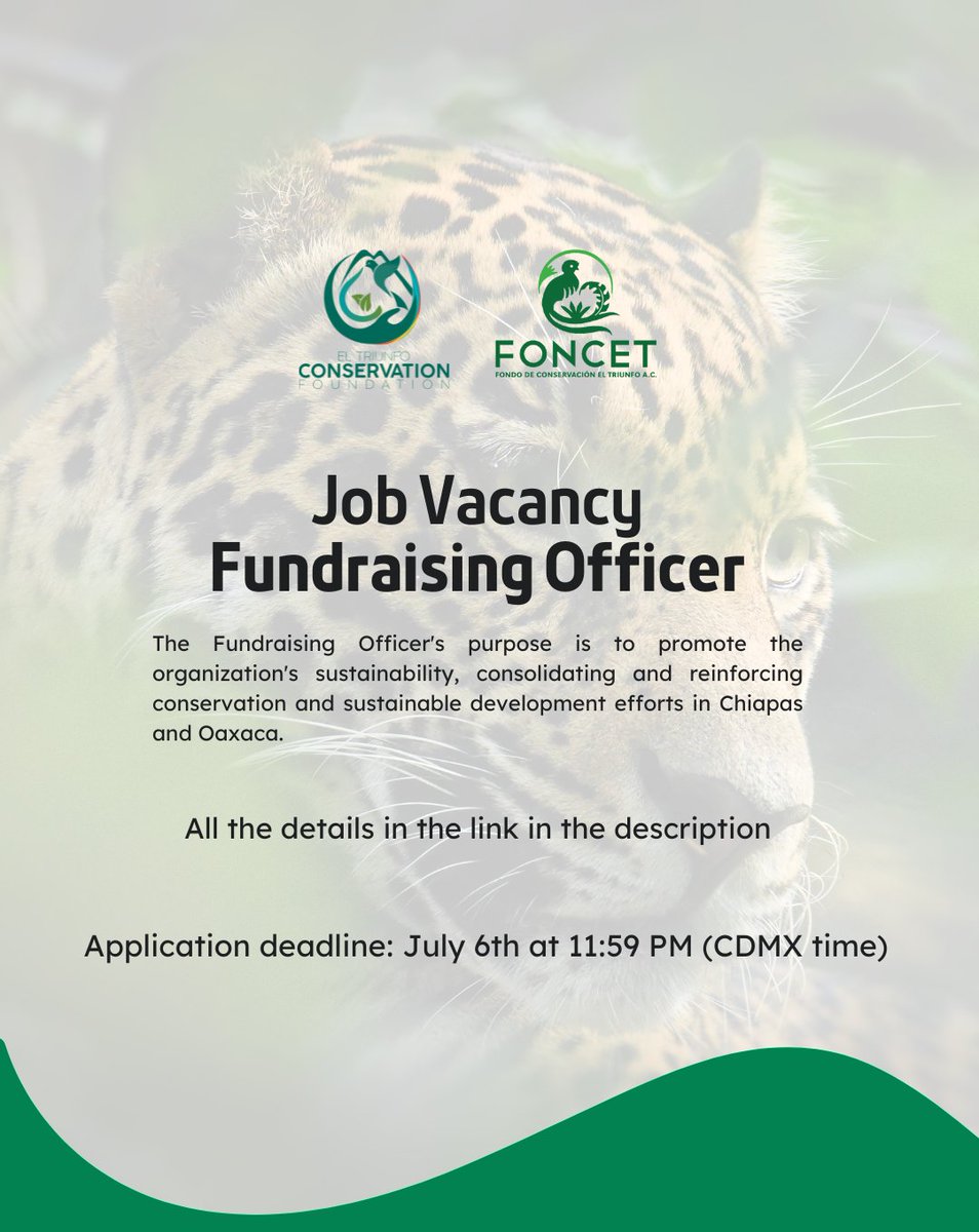 Job Opportunity 
We are seeking a person to join the team, working as a Fundraising Officer.

Application deadline: July 6th at 11:59 PM (CDMX time) 

Full call for applications here: 
foncet.org/convocatorias/