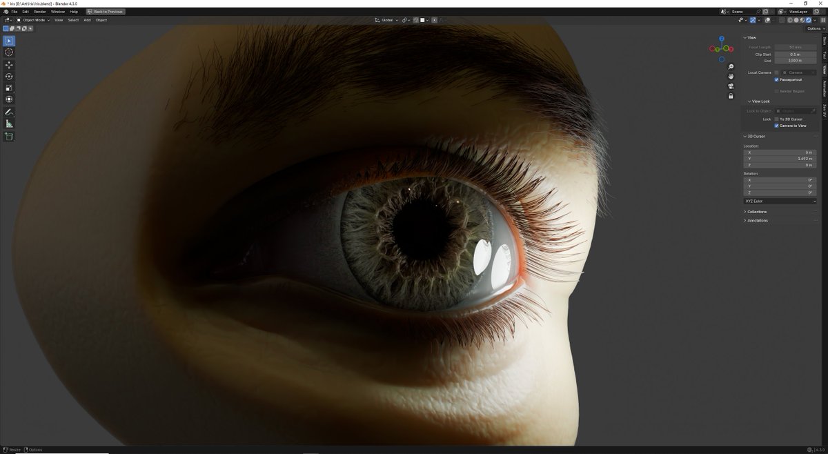 Result of the iris research i've been toying with. Offline rendering is pretty fun, you don't have to worry about real time approximations or hacks. Here the iris is made out of tens of thousands of individual strands. They're shaped using geometry nodes.

#b3d
