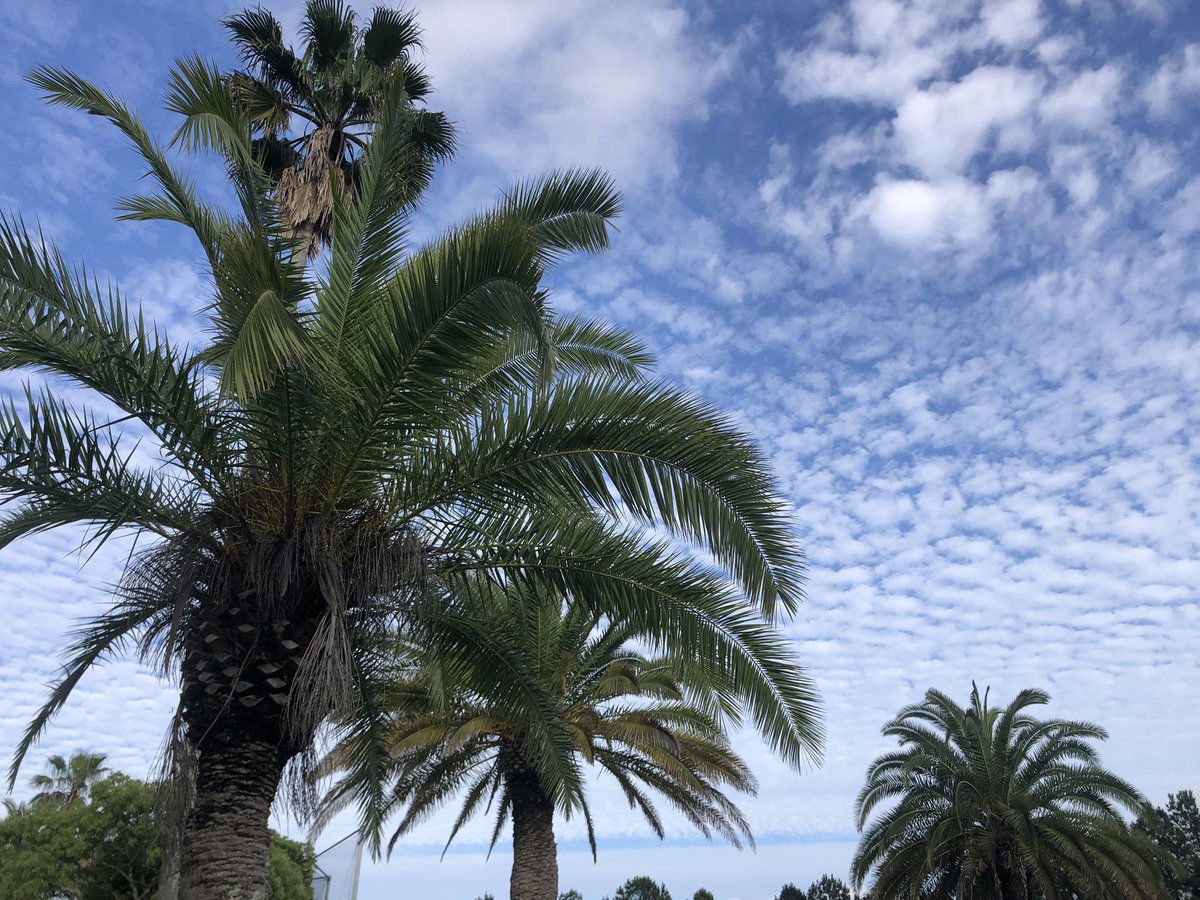 おはようございます☀
陽当たり良好❗️😊