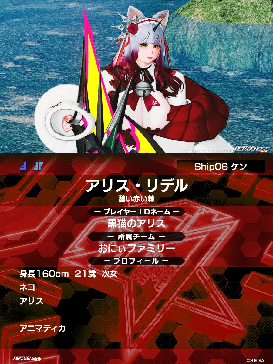 Alice_CatFood_'s tweet photo. PSO2NGSマイキャラクター https://t.co/i6jLtt9iEW