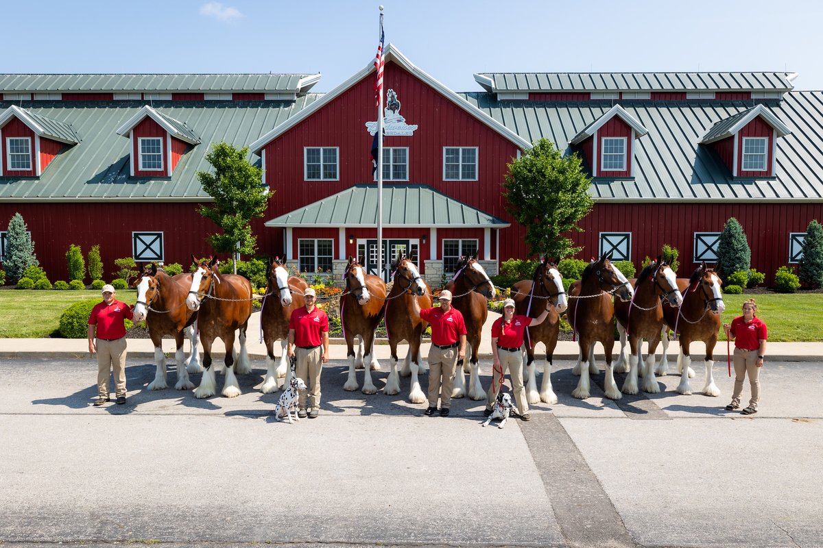 For four days only, see all three Budweiser Clydesdale Hitch teams together at Warm Springs Ranch—an exclusive, behind-the-scenes experience you won't want to miss! 😲

Snag your tickets online: ms.spr.ly/6016SouR8