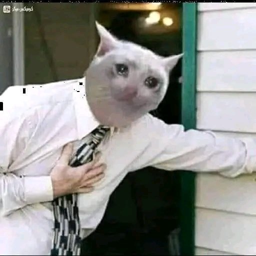 IRENE💫 (@miss_irene0) on Twitter photo 