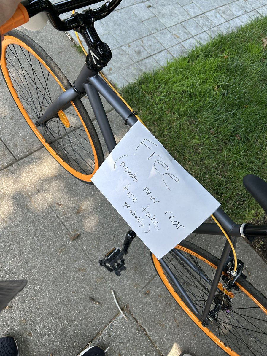 rat king 🐀 tweet media