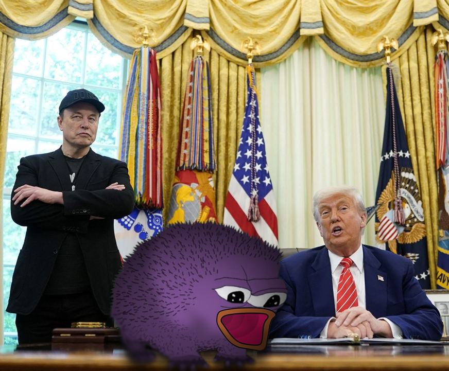 Elon vs Trump beef is the perfect time to check out onchain social media betting on Monad