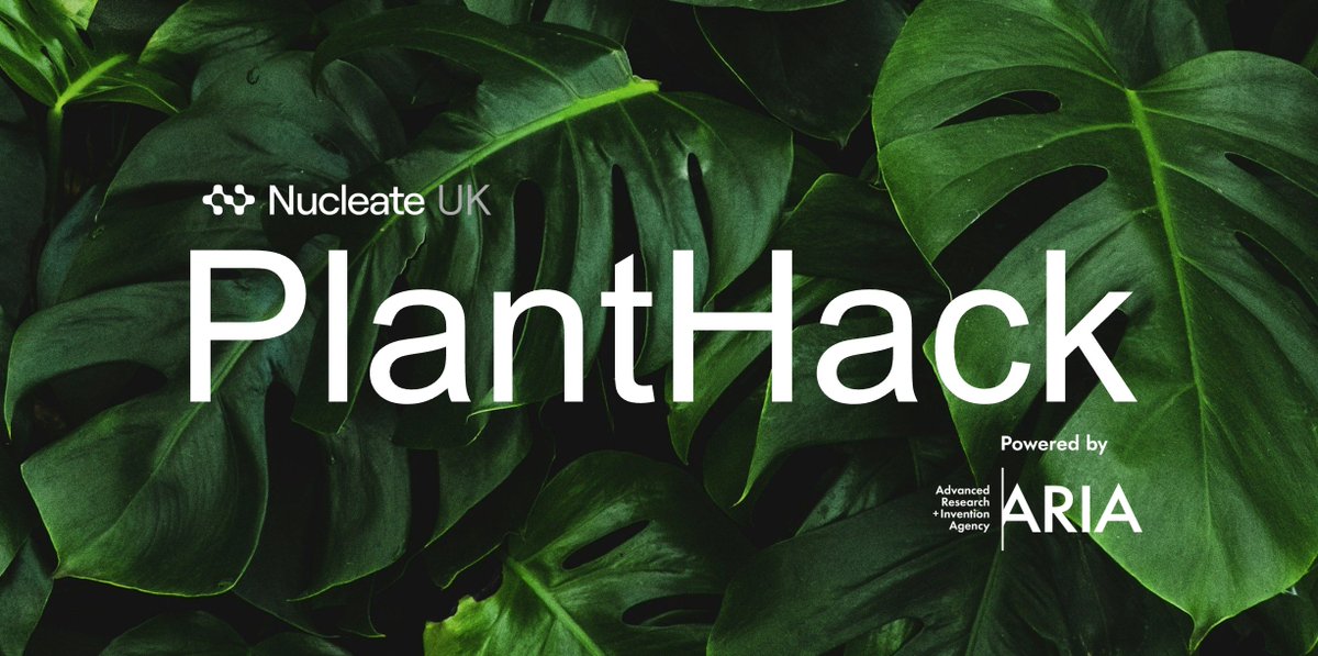 SynBioBeta (@synbiobeta) on Twitter photo Join <a href="/NucleateUK/">Nucleate UK</a>'s two-day hackathon in London (June 28–29, 2025) to explore how AI and synthetic biology can unlock underutilized crops and reshape UK agriculture—addressing climate change, pests, disease, and reliance on staple crops by decoding genetic traits for resilience, Join <a href="/NucleateUK/">Nucleate UK</a>'s two-day hackathon in London (June 28–29, 2025) to explore how AI and synthetic biology can unlock underutilized crops and reshape UK agriculture—addressing climate change, pests, disease, and reliance on staple crops by decoding genetic traits for resilience,