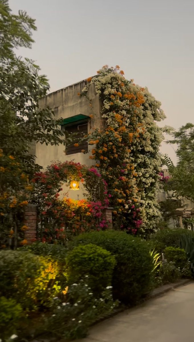 ᅠ ᅠ (@greendreaams) on Twitter photo 