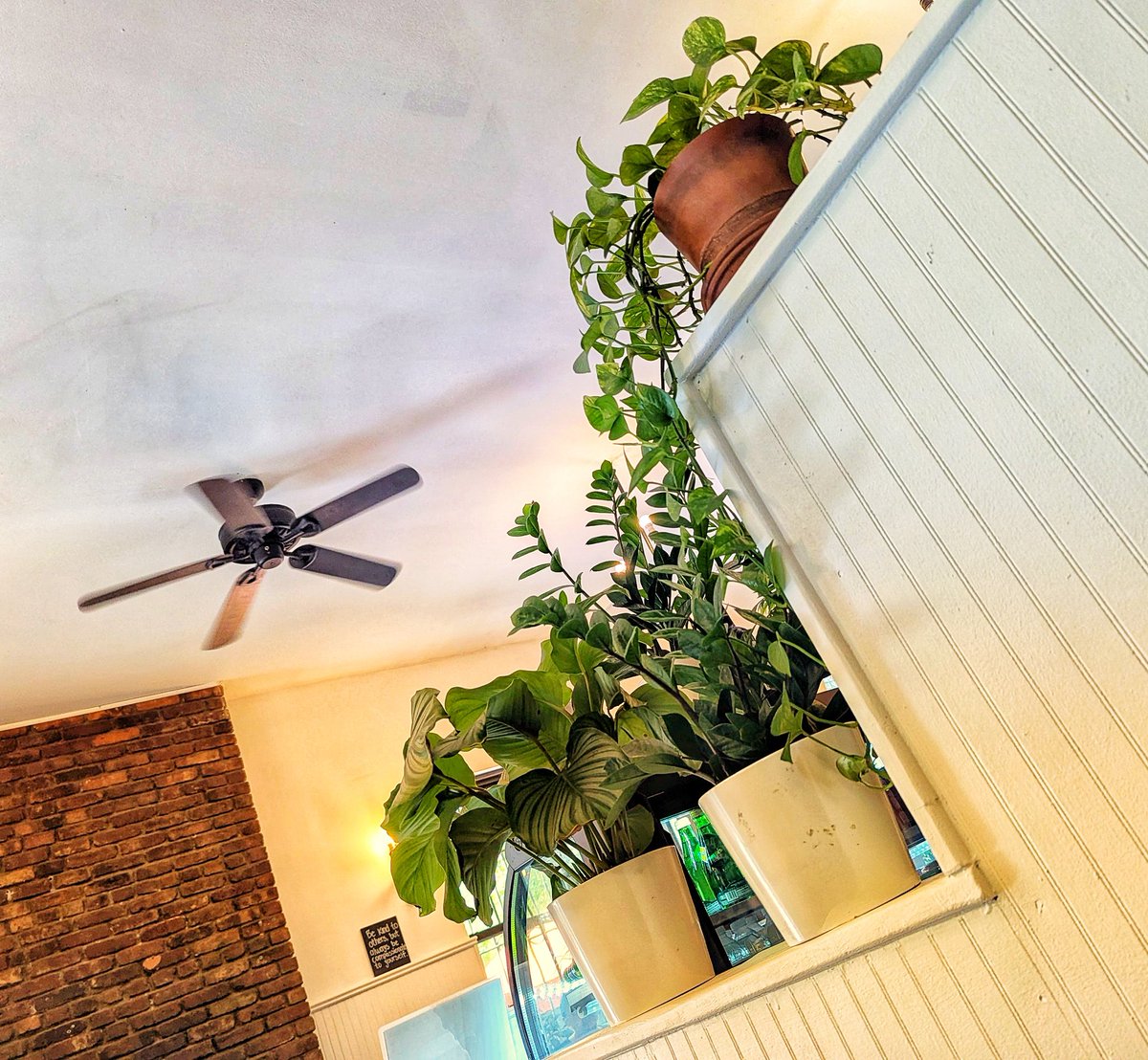AstridDannersen's tweet photo. Today's walk. Pitstop. #Brooklyn #MuseCafe https://t.co/cuPkENdGYF