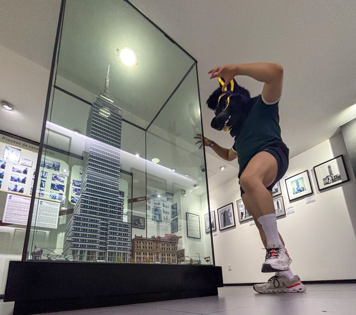 Macro 
#FursuitFryday