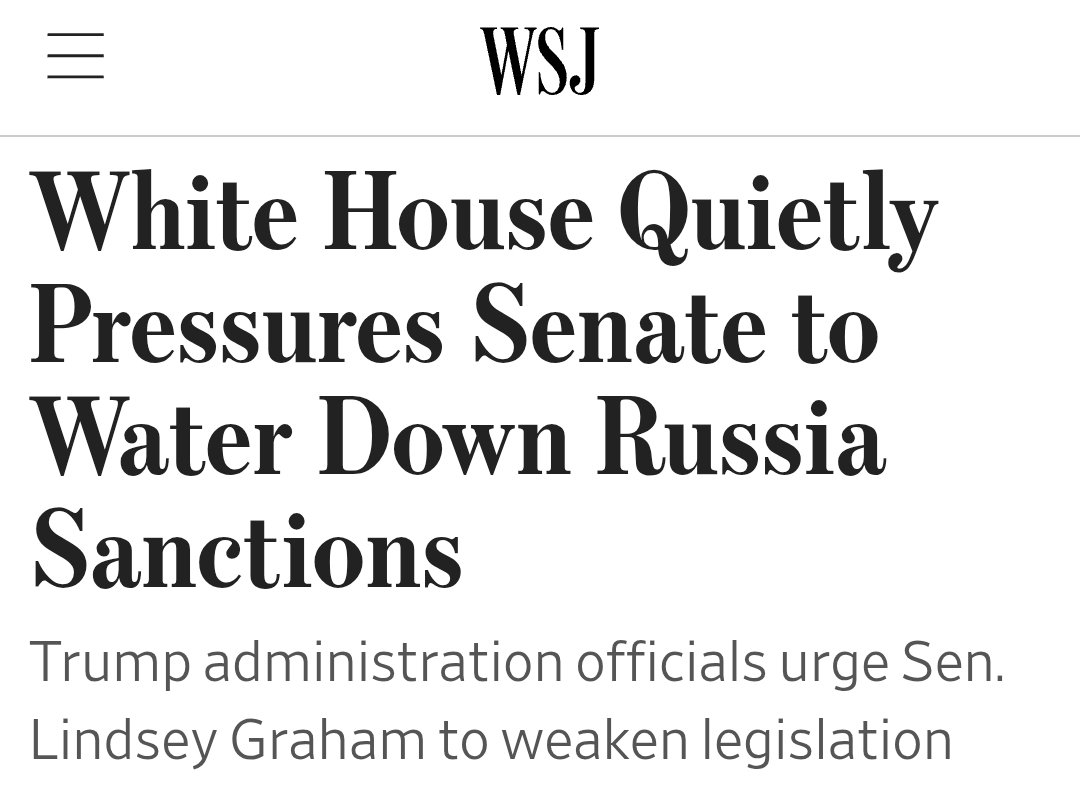 Agent Krasnov strikes again.