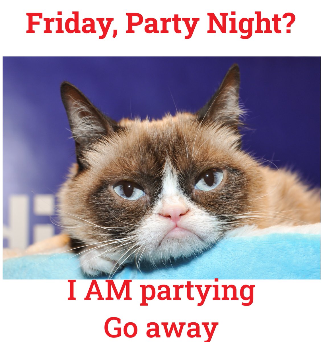FlissZak (is editing with a vengeance) (@flisszak) on Twitter photo Have a fab, fun evening, folks.  Party away if you must!
#WritingCommunity #poetrycommunity #readingcommnunity #bookworms #GrumpyCat #goodnight #GoodNightX #Goodnighteveryone #cats #catlover #CatsOfTwitter #CatsOnTwitter #catsonx Have a fab, fun evening, folks.  Party away if you must!
#WritingCommunity #poetrycommunity #readingcommnunity #bookworms #GrumpyCat #goodnight #GoodNightX #Goodnighteveryone #cats #catlover #CatsOfTwitter #CatsOnTwitter #catsonx