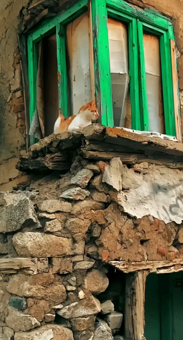 gakgose_23's tweet photo. Eski bayramlar güzeldi çünkü 
en harap evi bile saray eden analarımız vardı, gölgesiyle güven veren dağ gibi babalarımız vardı, sırdaşlarımız olan gardaşlarımız vardı.
Her giden bir parçamızı bir hevesimizi götürdü 🖤

Ölenlere rahmet, kalanlara selamet olsun !
#KurbanBayramı https://t.co/y3CSZ7fHeJ