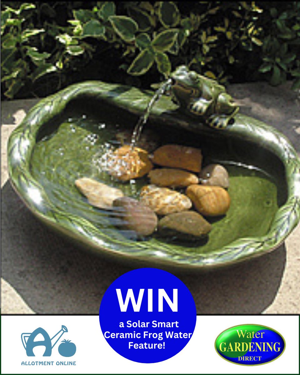 NEW COMPETITION!

Enter for the chance to WIN a Smart Solar Frog Water Feature from <a href="/WaterGardeningD/">Toby Harris</a> !

Please follow,❤️, tag, RT and enter on the link: allotmentonline.co.uk/win-a-smart-so…

#win #competition #gardenuk
