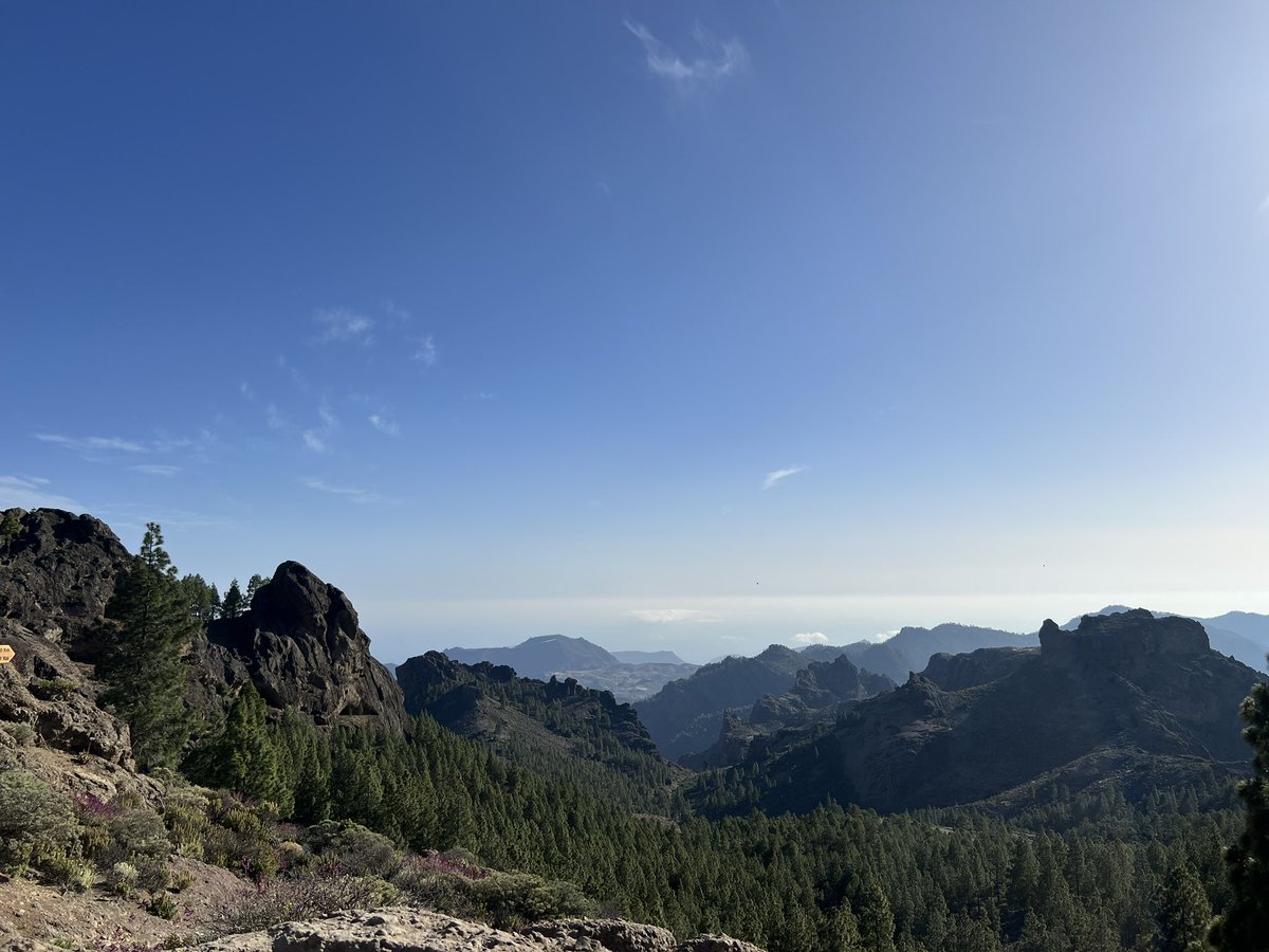 Christian Goodman tweet media