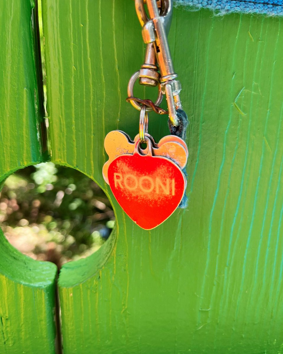 🌈 One week ago, the Rainbow Bridge at Greenfield Lake was dedicated as a tribute to the pets who’ve crossed over, and today, it’s clear just how deeply this space is already resonating with the community 🐾