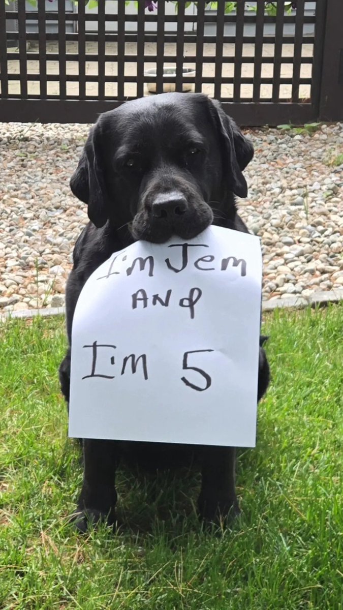 HAPPY 5th Birthday JEM 😍
<a href="/dungeondogjem/">ddj</a> 🎉