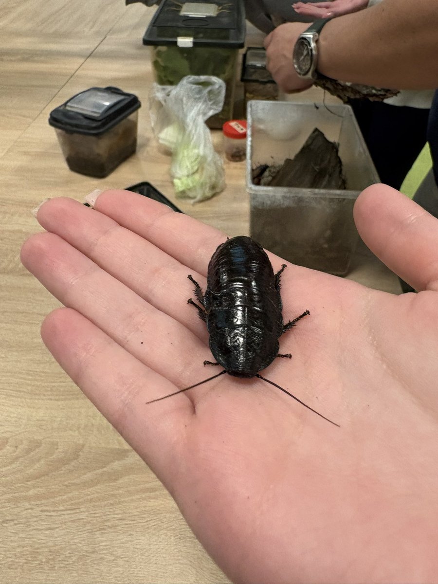 Poznałam dziś też Grzesia ^^ 

Grzesiu jest bardzo miły! 
Grzesiu był troszkę nadpobudliwy…
Lubię Grzesia^^