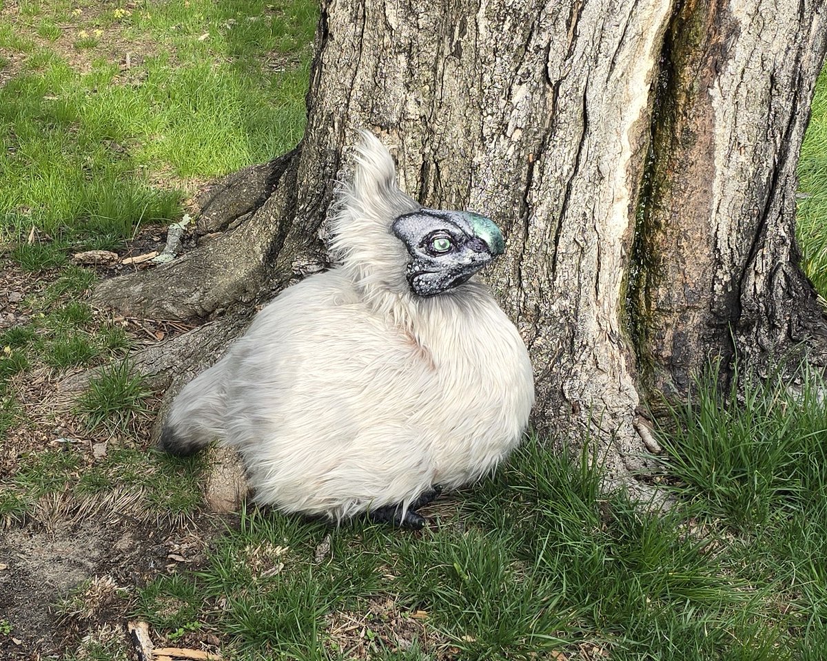thecraftlocust's tweet photo. I need to get some photos with my bird pal.... Maybe this weekend....
#creepygreen #MHWilds #monsterhunter #monsterhunterprops #seikret #seikretchick #sidechick #モンハン #モンハンワイルズ #kfseikret #chickret #seikretpattern
#gobblegobble https://t.co/bINdi9FES5