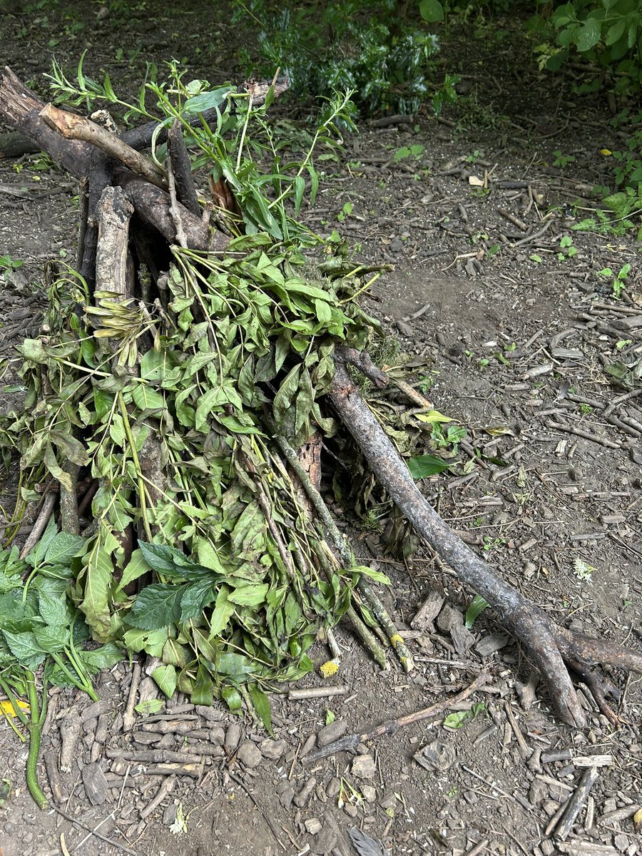 Riddings Jnr School (@riddingsjnr) on Twitter photo Break time saw these Yr3s work together to build a great campfire and tick off an <a href="/embarkfed/">Embark Federation</a> Award challenge 🔥 👏 <a href="/BarberRjs/">BarberRJS</a> <a href="/OakesRjs/">OakesRJS</a> <a href="/ShrewsburyRJS/">ShrewsburyRJS</a> Break time saw these Yr3s work together to build a great campfire and tick off an <a href="/embarkfed/">Embark Federation</a> Award challenge 🔥 👏 <a href="/BarberRjs/">BarberRJS</a> <a href="/OakesRjs/">OakesRJS</a> <a href="/ShrewsburyRJS/">ShrewsburyRJS</a>