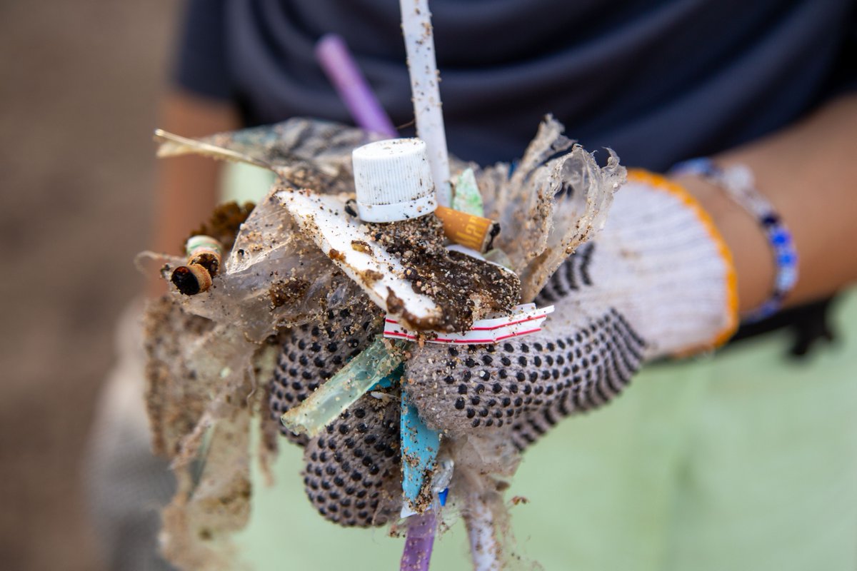 🌊 En el Día Mundial Del #MedioAmbiente convocamos a una limpieza de playa donde la auditoría de marca confirmó que los plásticos de un solo uso dominan la contaminación.

🛑 Exijamos una #LeyAntiplásticos YA.

✍ Firma y actúa por los océanos: act.gp/3SFYWSK