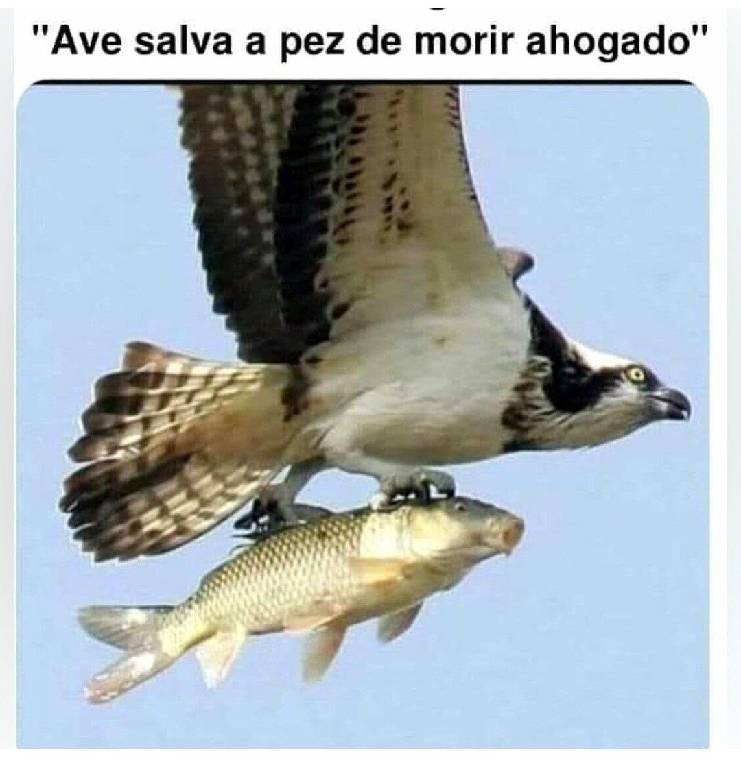 Medios de comunicación... 👇👇👇