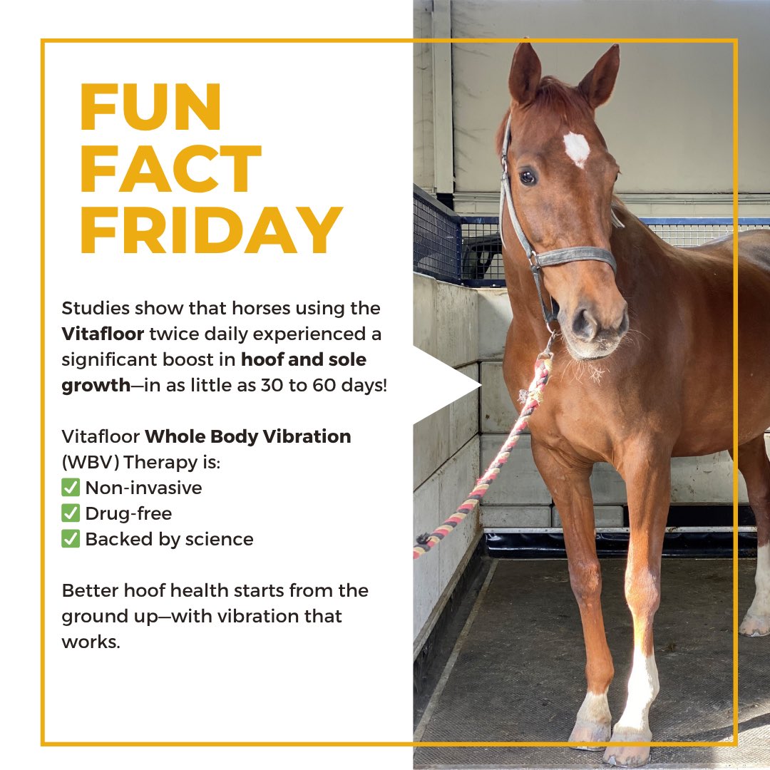 Whether you're rehabbing a hoof injury or just want stronger, healthier feet, Vitafloor offers a natural, non-invasive solution that works from the ground up. 🦶💥
#Vitafloor #HoofGrowth #StrongerHooves #EquineRehab #WholeBodyVibration #HealthyHoovesHappyHorse