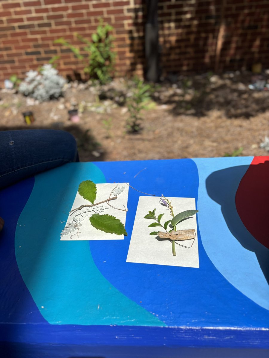 Ms. Medlock tweet media