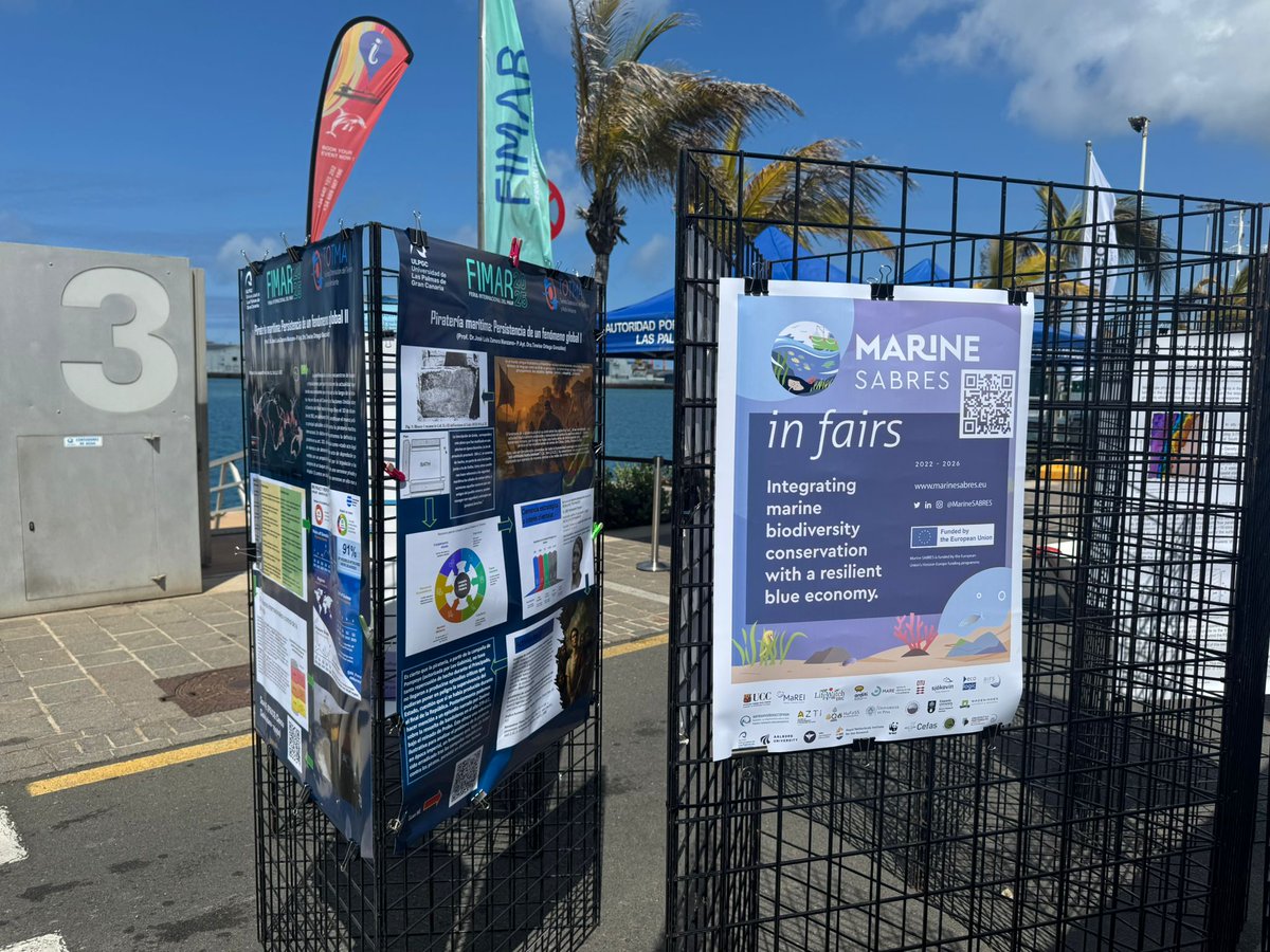 LifeWatchERIC's tweet image. So it begins! 🪸 🐟 🐙 

👉 We are at #FIMAR2025, #GranCanaria, co-organising a #MarineSABRESinFAIRS event with @ECOAQUA_ULPGC 

👉 Learn how our we are fostering #ecotourism and🐋 a #marine #biological #corridor 🐟 between Azores, Madeira and Canary archipelagos!
@MarineSABRES