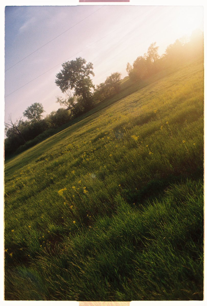 Castlesystems tweet media