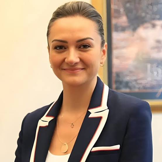 Tahliye Edilen                    /          Tutuklanan