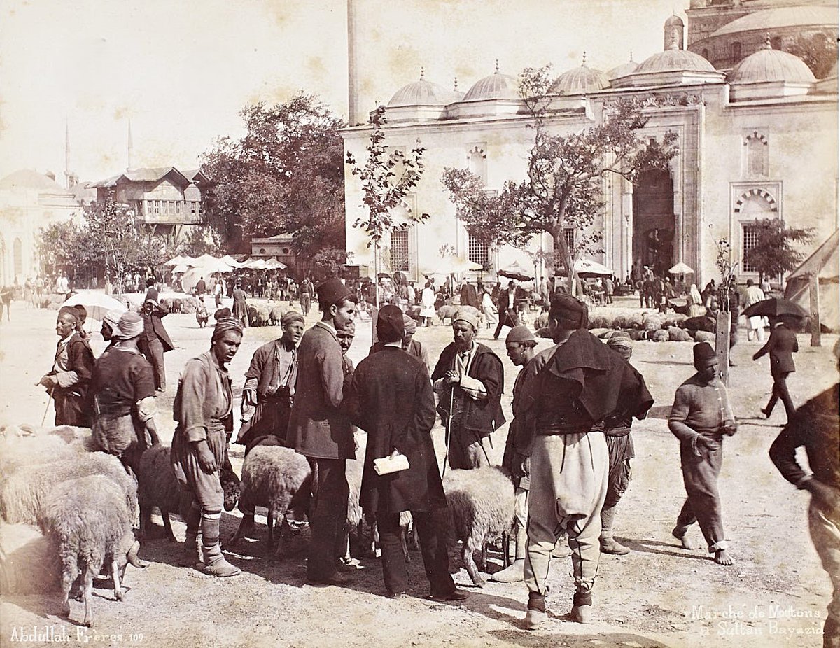 Fatma ÜREKLİ (@fatmaurekli) on Twitter photo Beyazıt'da kurban pazarı, 19.yy.sonu #Istanbul Beyazıt'da kurban pazarı, 19.yy.sonu #Istanbul