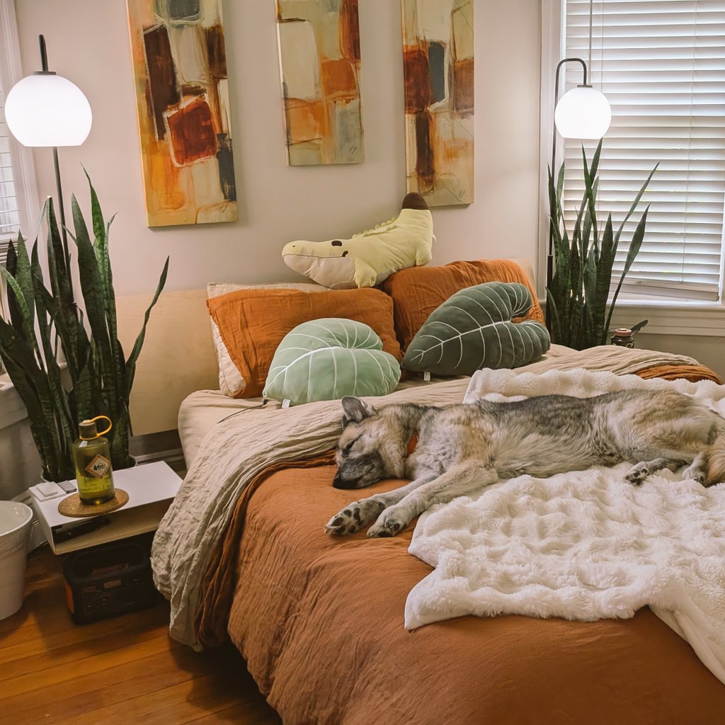 Karidas! tweet media