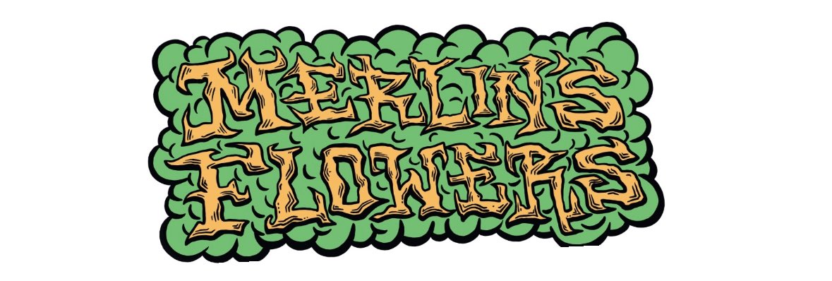 Merlins.B_ tweet media