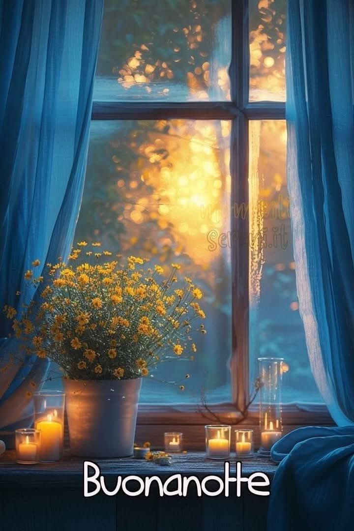 RITABIANCHi56 tweet media