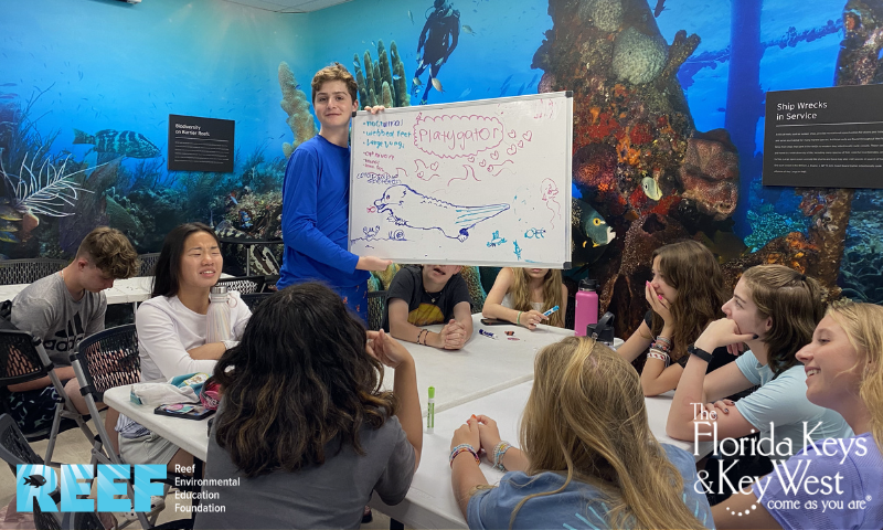 Key West (@keywest) on Twitter photo β³Itβs almost here! Celebrate #WorldOceanDay this weekend at the Grand Opening of the Ocean Exploration Center in Key Largo! π π΄
π
June 7β8
ποΈ Free tours & exhibits
π§ͺ Marine science fun
π Ribbon cutting
π Food & drinks
Donβt miss it β REEF.org/oecgrandopening
#KeyLargo #REEF β³Itβs almost here! Celebrate #WorldOceanDay this weekend at the Grand Opening of the Ocean Exploration Center in Key Largo! π π΄
π
June 7β8
ποΈ Free tours & exhibits
π§ͺ Marine science fun
π Ribbon cutting
π Food & drinks
Donβt miss it β REEF.org/oecgrandopening
#KeyLargo #REEF