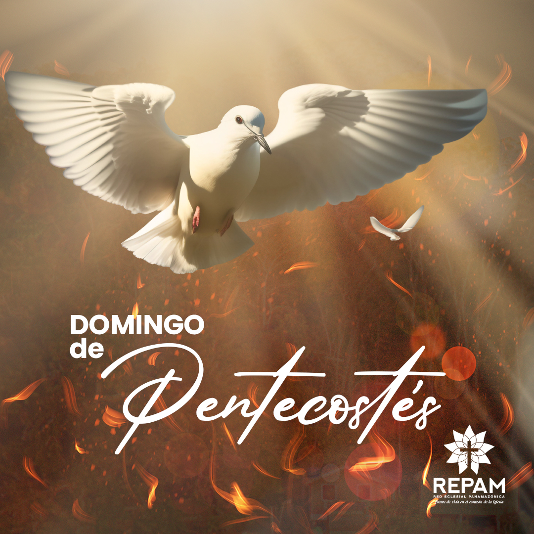🕊 El domingo de Pentecostés, celebramos la venida del Espíritu Santo sobre los apóstoles de Jesucristo,  por lo que estamos invitados a invocar también al Espíritu para renovar la faz de la Tierra y actuar con la misma intensidad sobre todos.

#REPAM #Amazonía #Pentecostes