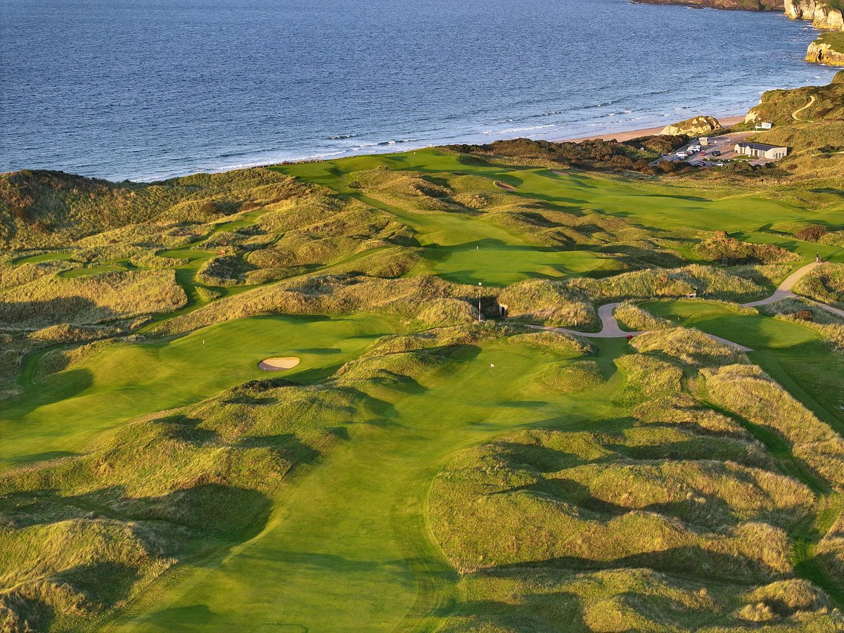 The Open tweet media