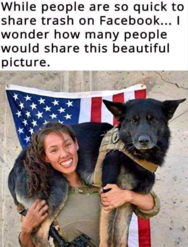 Best in Dogs tweet media