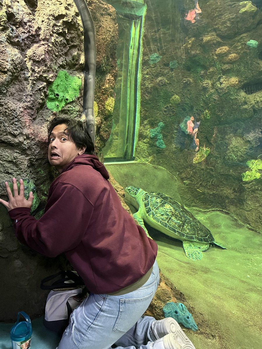 Forgot my birthday just passed but here’s a pic of me and a turtle…

Toronto here we come baby!!!!

Guess how old I turned?