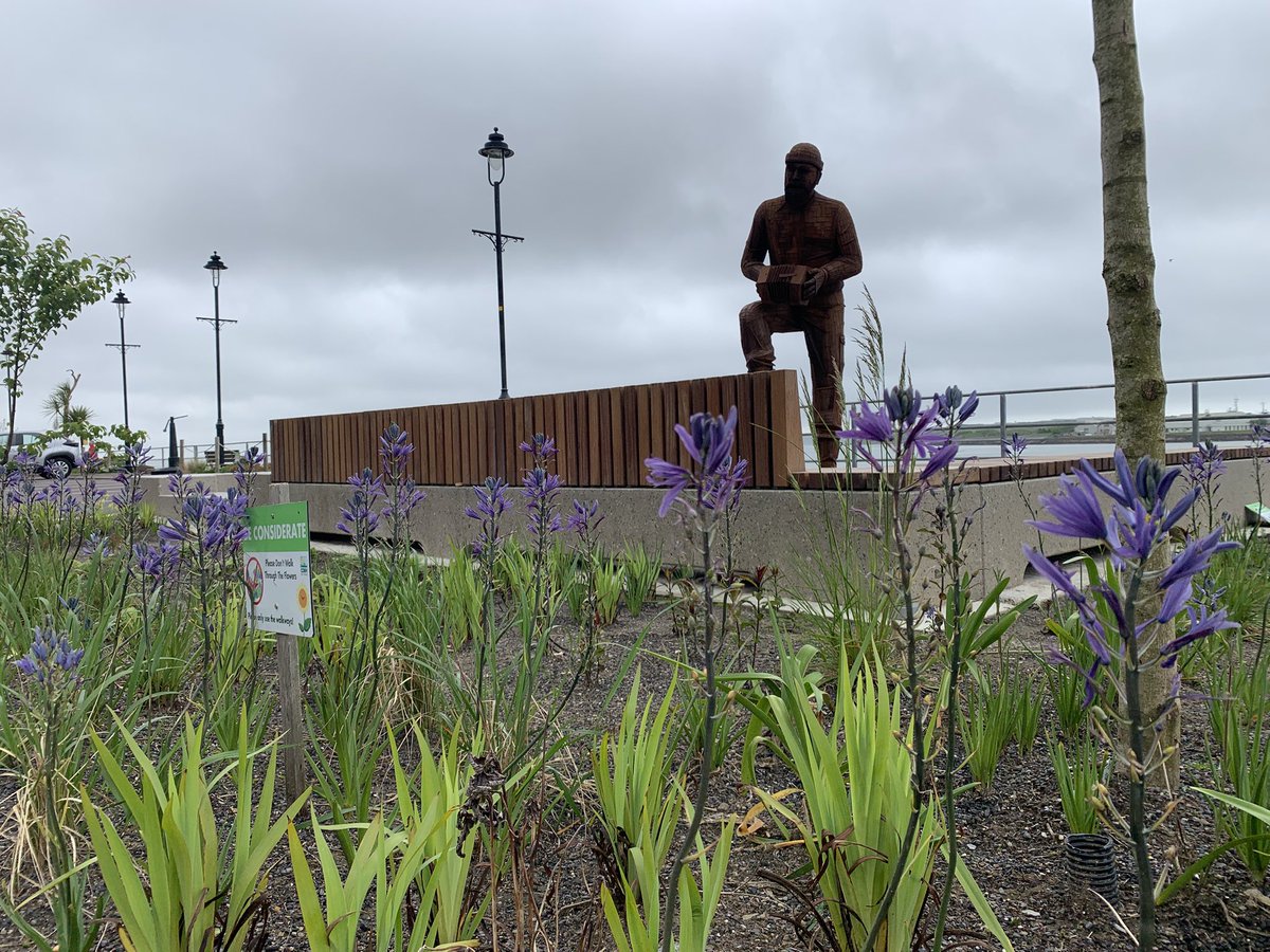 Cobh Tidy Towns🌻 (@cobhtidy) on Twitter photo And so it’s the night before unannounced adjudications begin during summer in <a href="/TidyTownsIre/">Supervalu TidyTowns Competition</a> ! Best of luck to all the hardworking committees. Let the games begin! #tidytowns #lovewhereyoulive #cobh And so it’s the night before unannounced adjudications begin during summer in <a href="/TidyTownsIre/">Supervalu TidyTowns Competition</a> ! Best of luck to all the hardworking committees. Let the games begin! #tidytowns #lovewhereyoulive #cobh